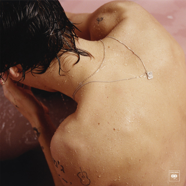 HARRY STYLES met 'SIGN OF THE TIMES'