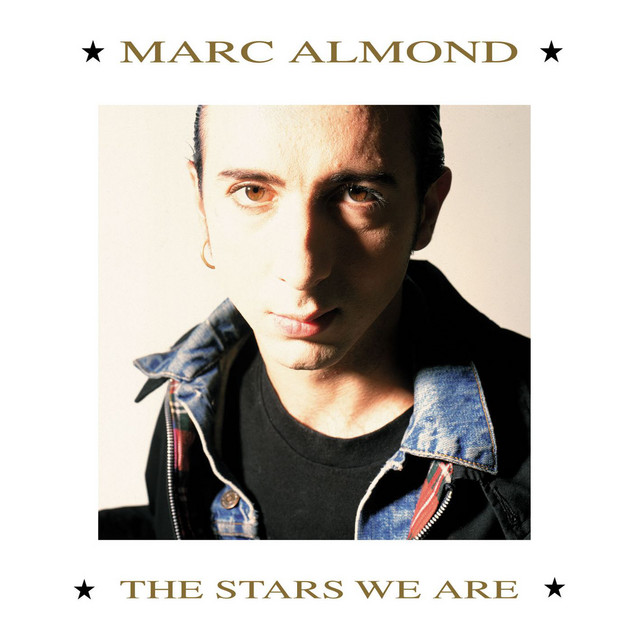 MARC ALMOND&nbsp;met&nbsp;'TEARS RUN RINGS'
