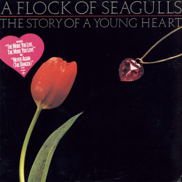 A FLOCK OF SEAGULLS&nbsp;met&nbsp;'THE MORE YOU LIVE THE MORE YOU LOVE'