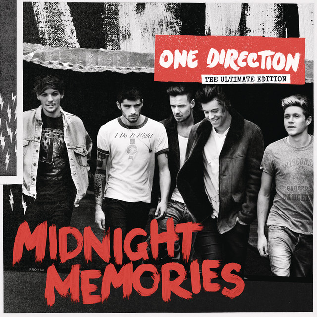 ONE DIRECTION&nbsp;met&nbsp;'STORY OF MY LIFE'