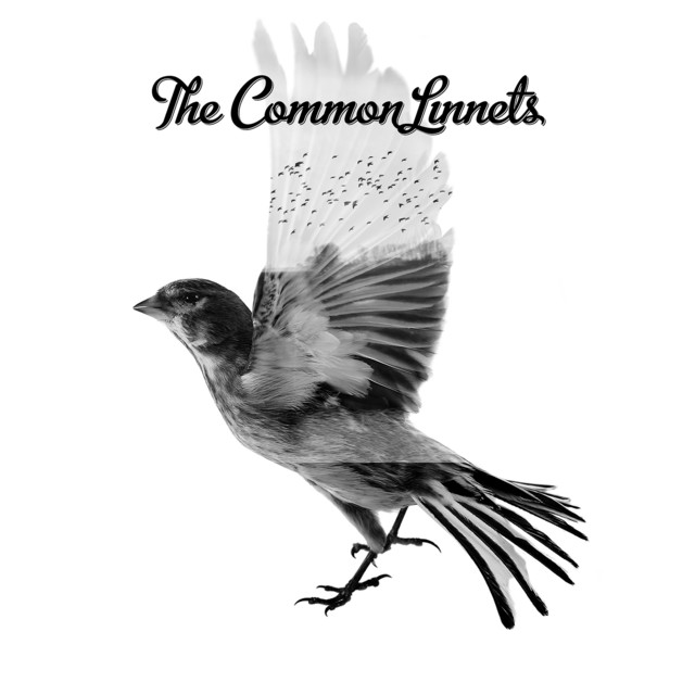 THE COMMON LINNETS&nbsp;met&nbsp;'CALM AFTER THE STORM'
