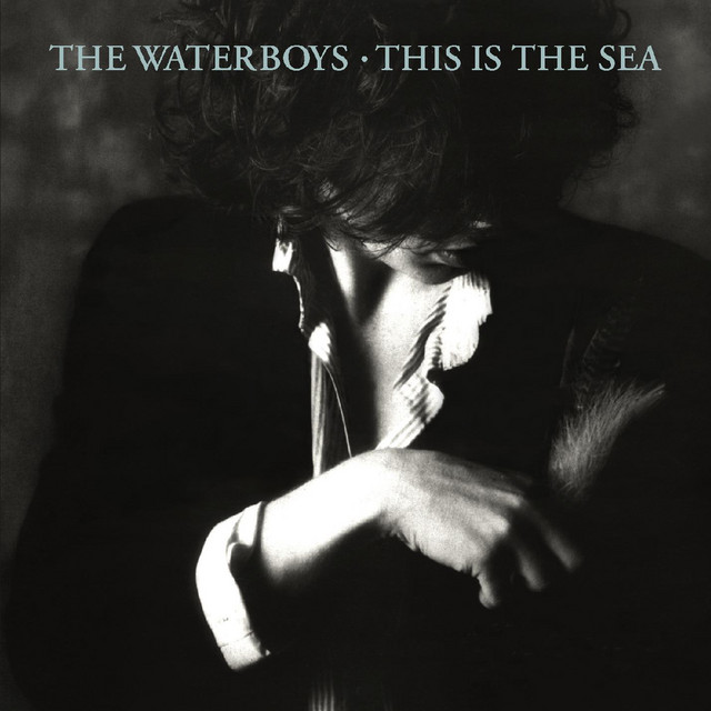 THE WATERBOYS&nbsp;met&nbsp;'THE WHOLE OF THE MOON'