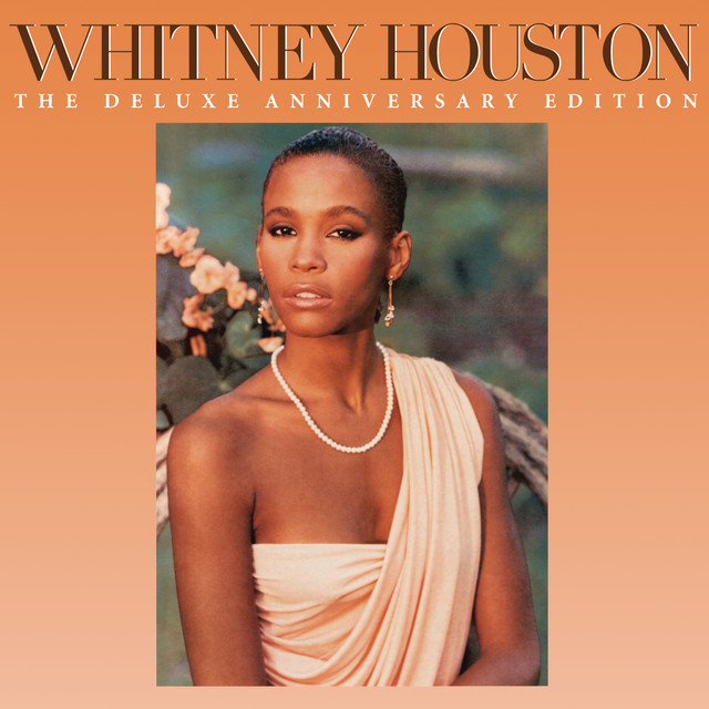 WHITNEY HOUSTON&nbsp;met&nbsp;'ALL AT ONCE'
