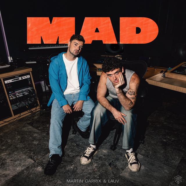 MARTIN GARRIX & LAUV&nbsp;met&nbsp;'MAD'
