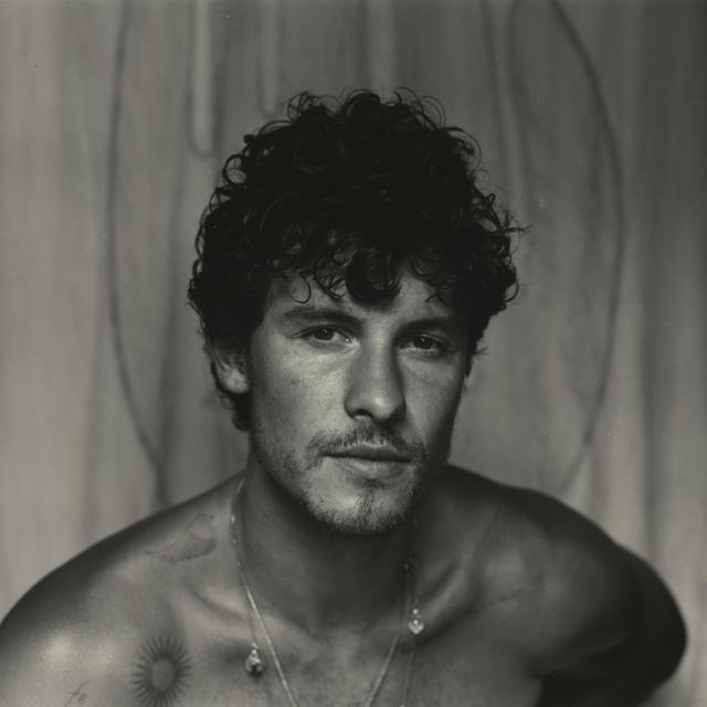 SHAWN MENDES met 'WHY WHY WHY'