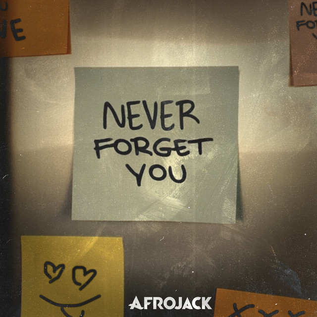 AFROJACK&nbsp;met&nbsp;'NEVER FORGET YOU'